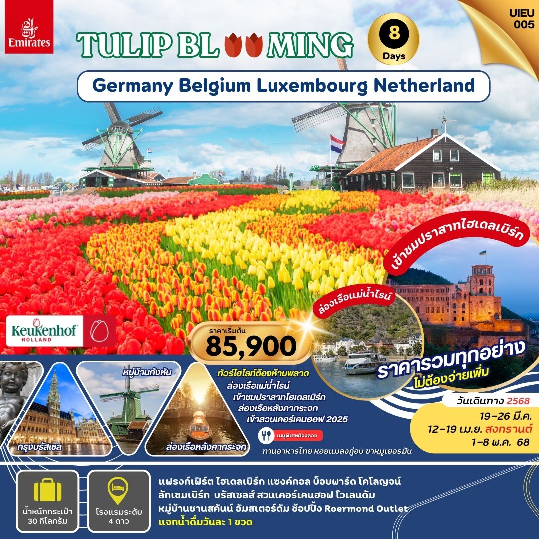 TULIP BLOOMING เยอรมัน ลักเซมเบิร์ก เบลเยี่ยม เนเธอร์แลนด์ 8 วัน  เทศกาลชมทุ่งดอกทิวลิป