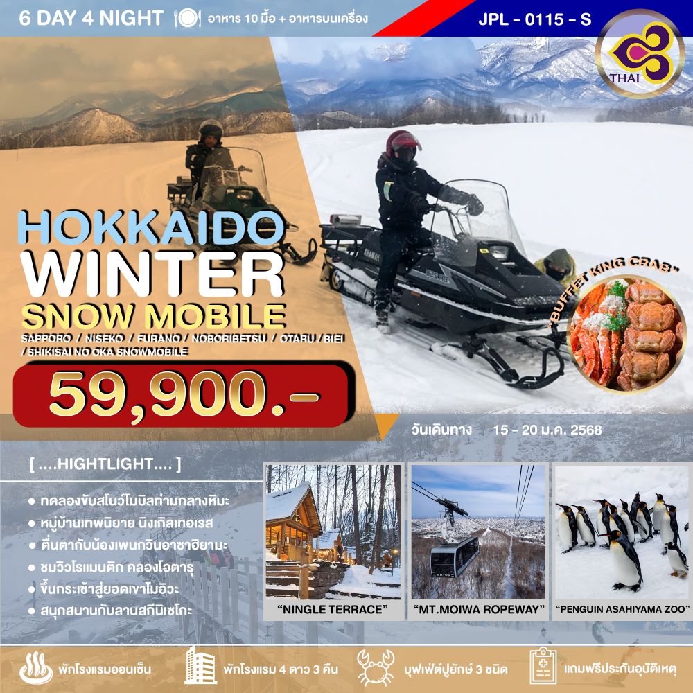 ฮอกไกโด ซัปโปโร snow mobile นิเซโกะ นิ้งเกิ้ลเทอเรส 6 วัน 4 คืน 