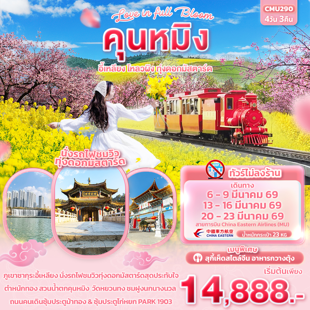 คุนหมิง อี้เหลียง โหลวผิง ทุ่งดอกมัสตาร์ด 4 วัน 3 คืน (ไม่ลงร้านช้อป)