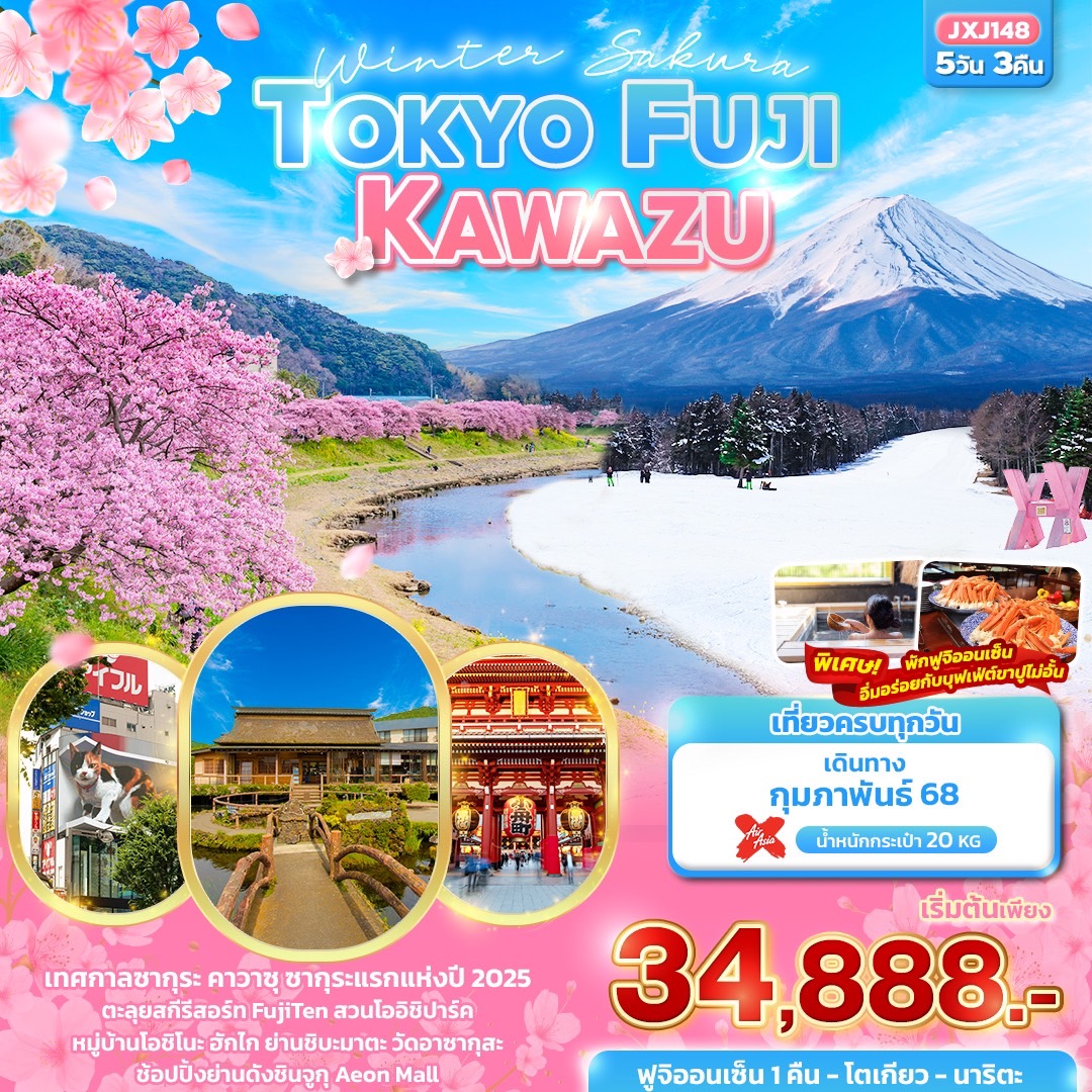 Winter Sakura TOKYO FUJI Kawazu 5 วัน 3 คืน สกีรีสอร์ต