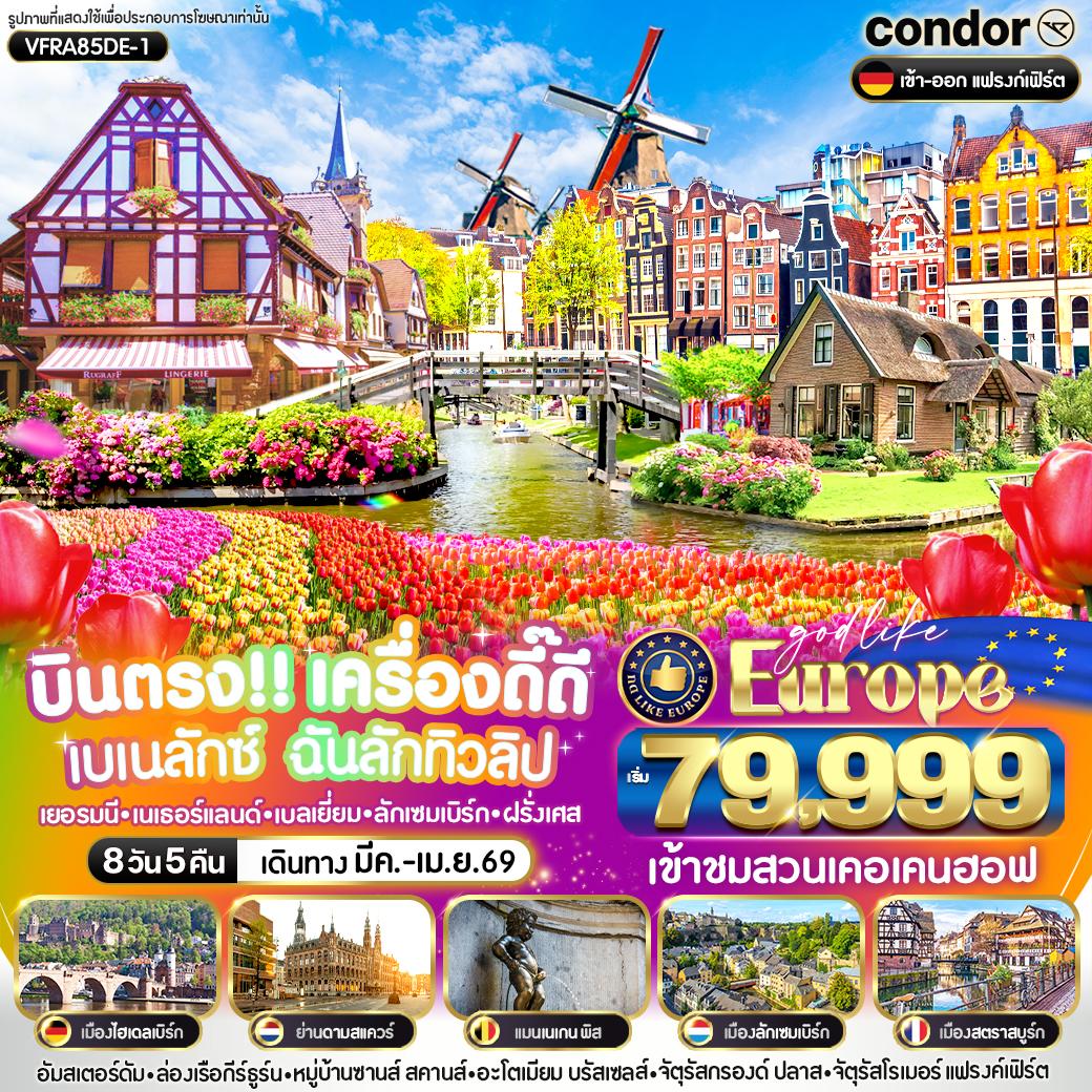 BENELUX ฉันรักทิวลิป DE-NL-BE-LU-FR 8 วัน 5 คืน BY DE