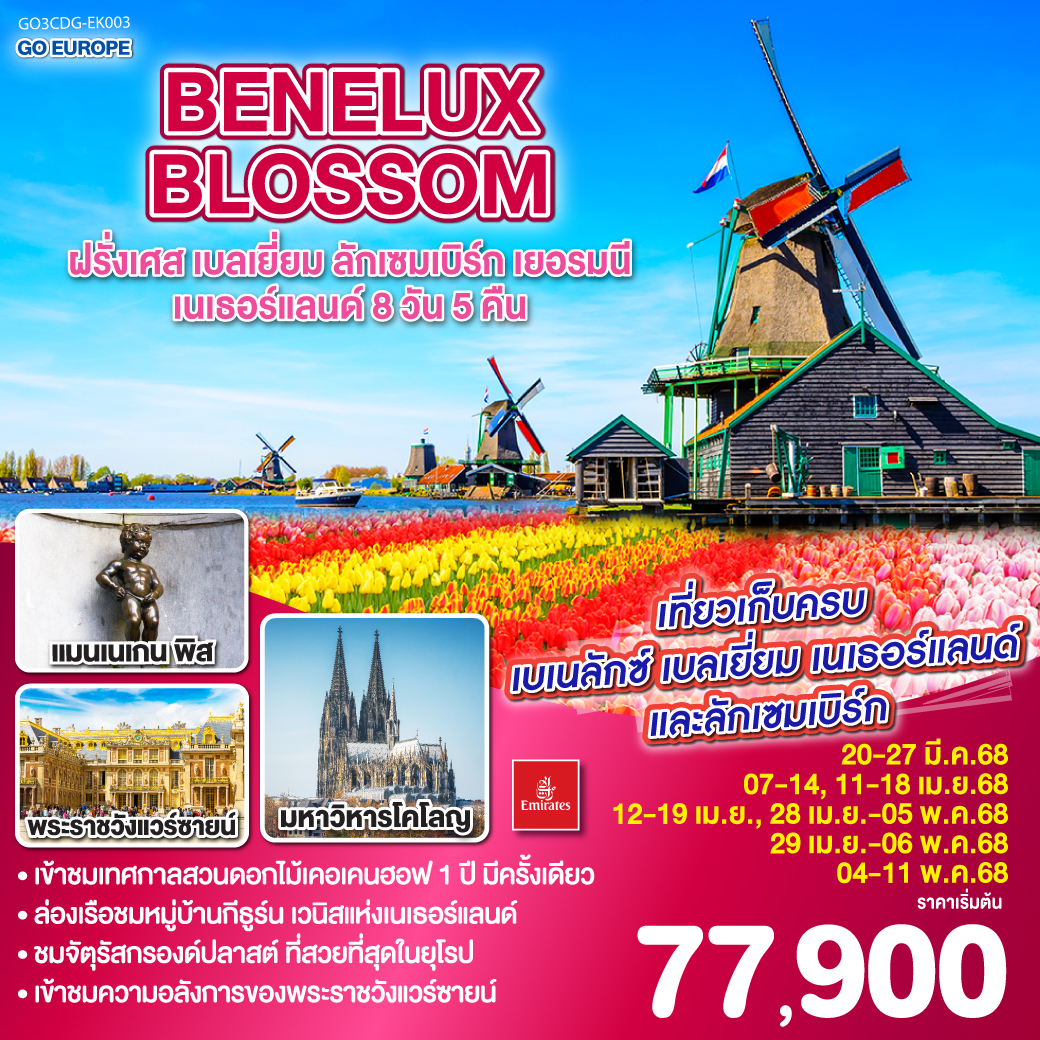 ฝรั่งเศส เบลเยี่ยม ลักเซมเบิร์ก เยอรมนี เนเธอร์แลนด์ 8วัน 5คืน BENELUX BLOSSOM